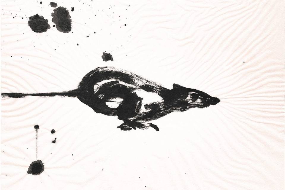 Ab durch die Mitte - Bilder von Frank Naumann Thumbnail