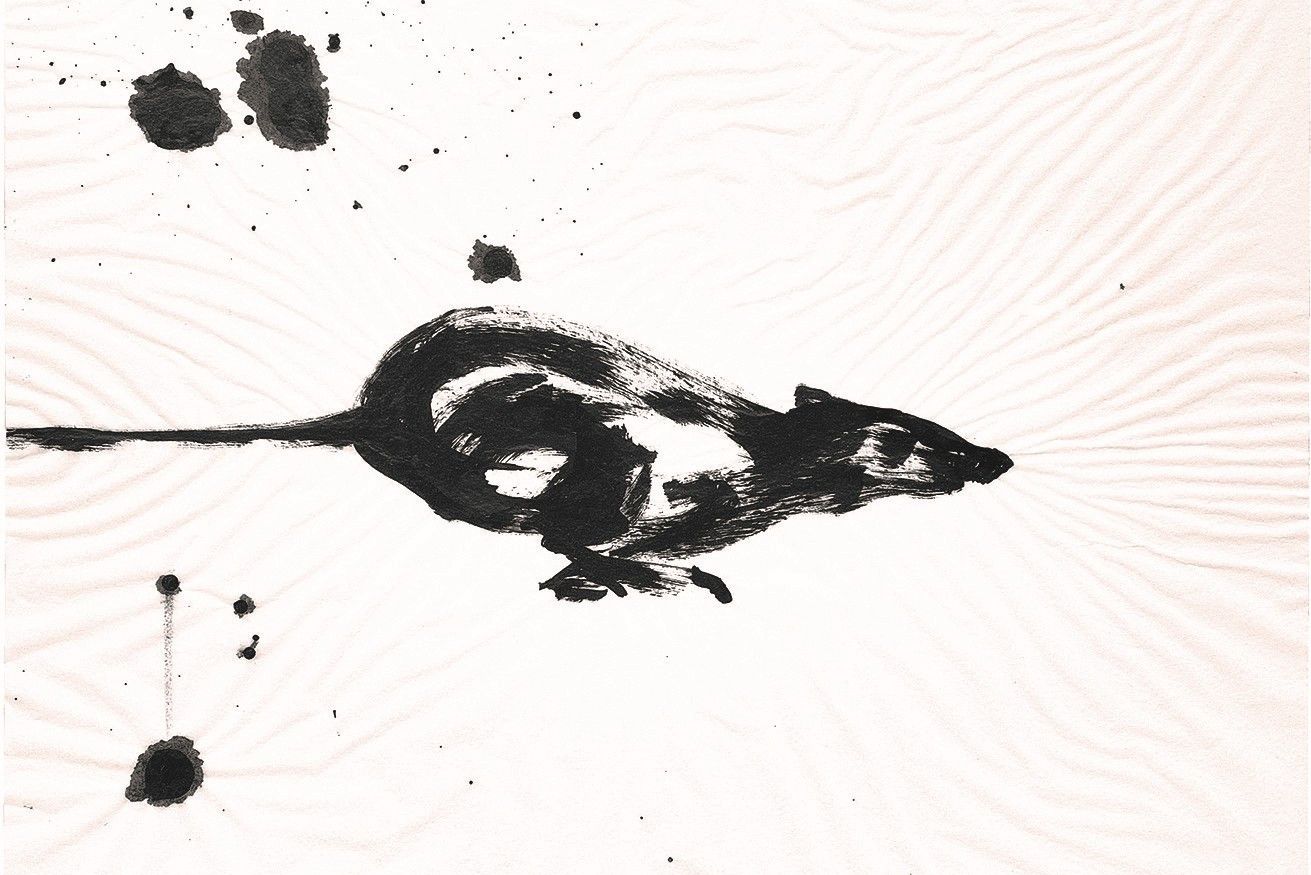 Ab durch die Mitte - Bilder von Frank Naumann