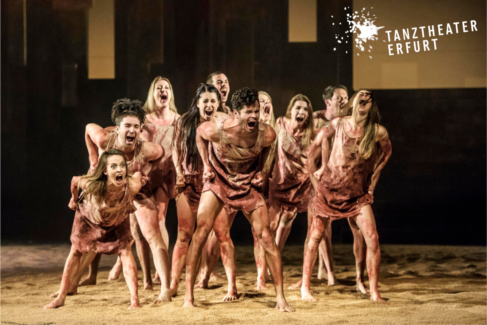 Ausstellung: 20 Jahre Tanztheater Erfurt & 10 Festivaleditionen