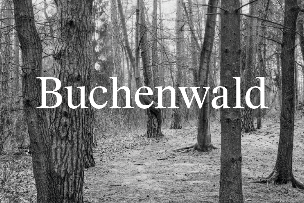 Christian Rothe: Buchenwald